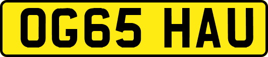 OG65HAU