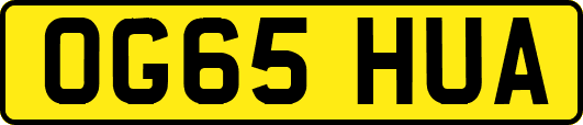 OG65HUA