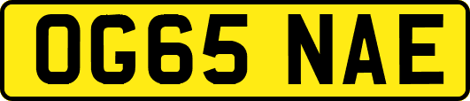 OG65NAE