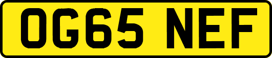 OG65NEF