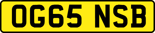 OG65NSB