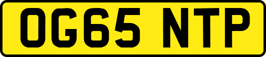 OG65NTP