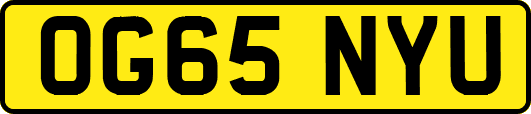 OG65NYU