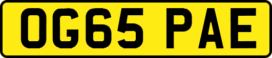 OG65PAE
