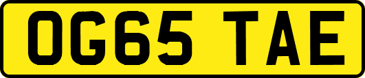 OG65TAE