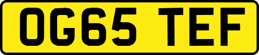 OG65TEF