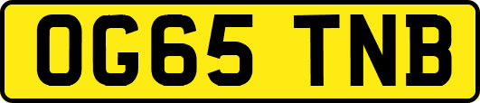 OG65TNB