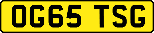 OG65TSG