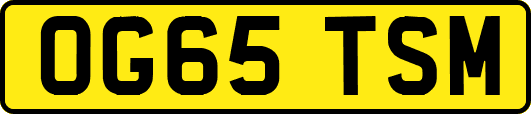 OG65TSM