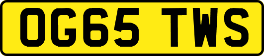 OG65TWS