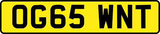 OG65WNT