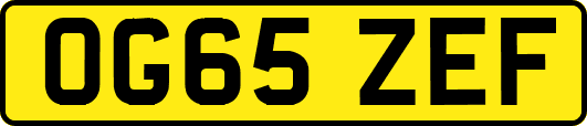 OG65ZEF
