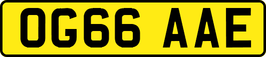 OG66AAE