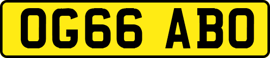 OG66ABO