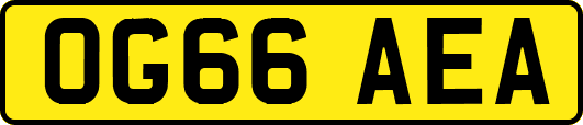 OG66AEA
