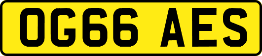 OG66AES