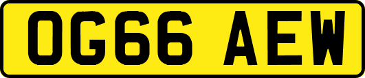 OG66AEW