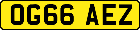 OG66AEZ