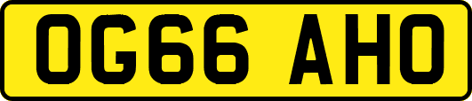 OG66AHO