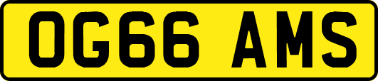 OG66AMS