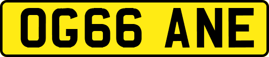 OG66ANE