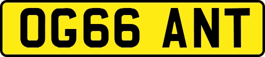 OG66ANT