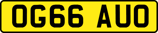 OG66AUO