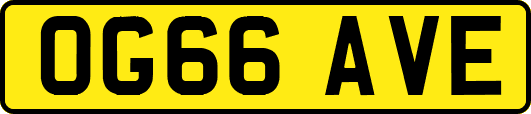 OG66AVE
