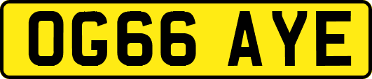 OG66AYE