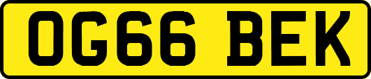 OG66BEK