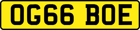 OG66BOE
