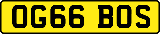 OG66BOS