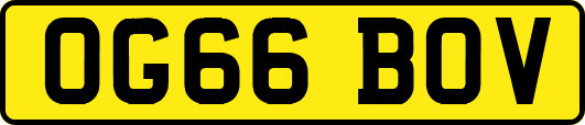 OG66BOV