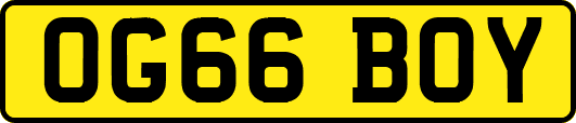 OG66BOY