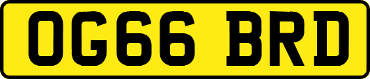 OG66BRD