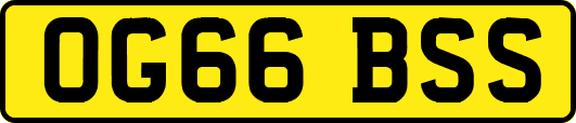 OG66BSS