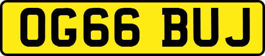 OG66BUJ