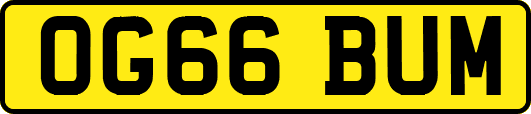 OG66BUM