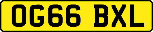OG66BXL