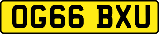 OG66BXU