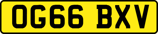 OG66BXV