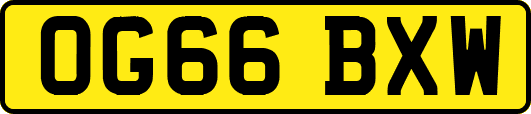 OG66BXW