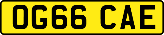 OG66CAE
