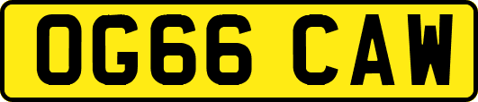 OG66CAW