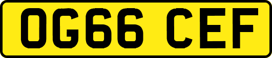 OG66CEF