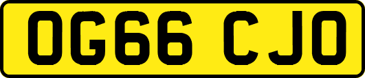OG66CJO