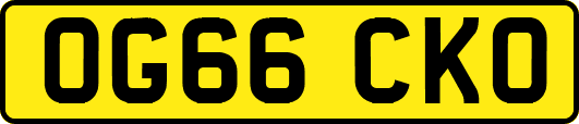OG66CKO