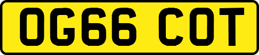 OG66COT