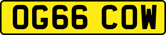OG66COW
