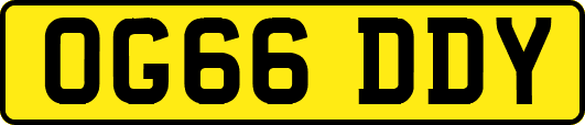 OG66DDY